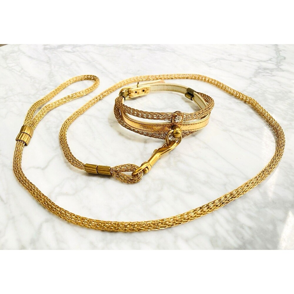 Vintage Gold Mesh Rhinestone Collar & Leash Set